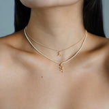 Lili Zodiac Necklace